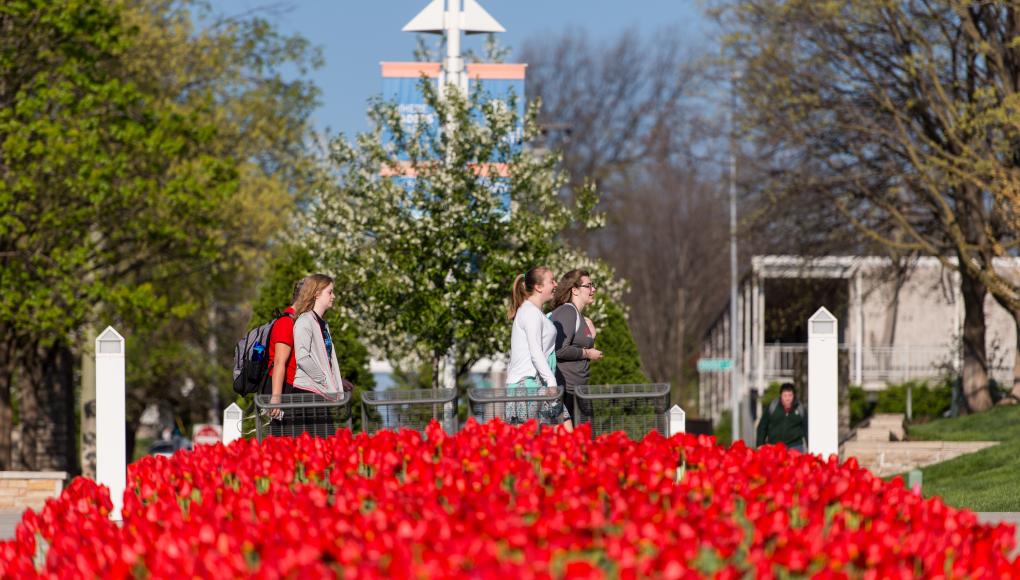 Rockhurst campus tulips